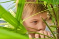 The boy is hiding in the bushes. The boy peeps from behind the leaves