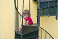 Child on stairs smiling Royalty Free Stock Photo