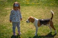 Child standing on a grass with beagle dog best friend in backyard on sunny spring day Royalty Free Stock Photo