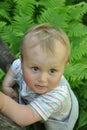 Child on step ladder Royalty Free Stock Photo