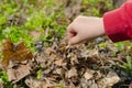 Child striking a match Royalty Free Stock Photo