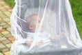 Child in stroller covered with protective net during walk. Baby carriage with anti-mosquito white cover. Midge