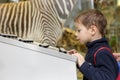 Child studying birdsong Royalty Free Stock Photo