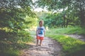 Child in summer forest walking Royalty Free Stock Photo