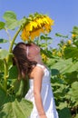 Child sunflower on field Royalty Free Stock Photo
