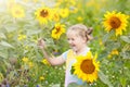 Child in sunflower field. Kids with sunflowers. Royalty Free Stock Photo