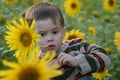 The child in sunflowers Royalty Free Stock Photo