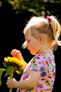 Child with sunflowers in the garden in summer Royalty Free Stock Photo