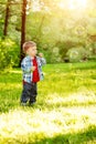 A child at sunset, back light. Kid on the meadow in the park. Th