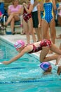 Child Swimmer Dives Into Pool In Relay Race