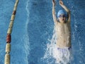 Child swimmer in swimming pool Royalty Free Stock Photo