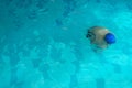 Child swimming training in a swimming pool. float exercise for buoyancy and proper breathing. deliverance of a person Royalty Free Stock Photo