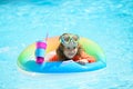 Child swims and dives in the pool. Cute funny little toddler boy in a colorful swimming suit relaxing with toy ring Royalty Free Stock Photo