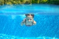Child swims in pool underwater, happy active girl has fun under water, kid sport Royalty Free Stock Photo