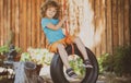 Child swing on backyard. Kid playing oudoor. Happy cute little boy swinging and having fun healthy summer vacation Royalty Free Stock Photo