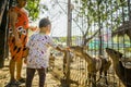 A child is taught to love animal by feeding them