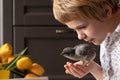 A child tenderly kisses a little chick. easter concept. The girl is holding a little chicken in her hands. A child among Royalty Free Stock Photo