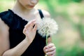 The child touches a large white fluffy dandelion with his hand. Summer photo Royalty Free Stock Photo