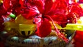 Child Toy And Beautiful Red Flowers Hindu Worship. Happy Krishan Janmashtami Or Happy Radhaashtami.