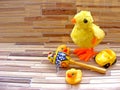 Colorful child toys, chiken, copy space