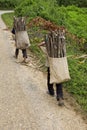 Child transports firewood, Laos