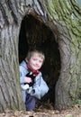 Child in a tree cavity