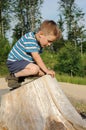 Child on tree stool Royalty Free Stock Photo