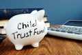 Child trust fund CTF written on a side of piggy bank Royalty Free Stock Photo