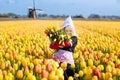 Child in tulip flower field. Windmill in Holland. Royalty Free Stock Photo