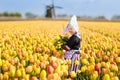Child in tulip flower field. Windmill in Holland Royalty Free Stock Photo