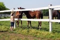 Child with two foal