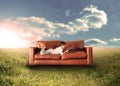 Child using laptop on couch in field Royalty Free Stock Photo