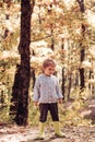 Child walking in autumn forest. Forest school is outdoor education delivery model in which students visit natural spaces