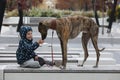 Child walkng with dog outdoor. Big cute greyhound dog walking with baby boy Royalty Free Stock Photo