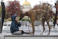 Child walkng with dog outdoor. Big cute greyhound dog walking with baby boy Royalty Free Stock Photo