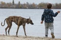 Child walkng with dog outdoor. Big cute greyhound dog walking with baby boy Royalty Free Stock Photo