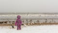 Child watching birds on the beach.