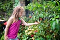 Child watching butterfly at tropical garden. Royalty Free Stock Photo