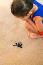 Child watching closely at baby sea turtle Royalty Free Stock Photo