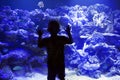 Child watching fish in a large Aquarium