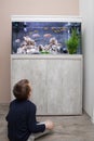 Child watching fish tank. Royalty Free Stock Photo