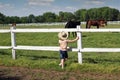 Child watching the horses