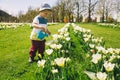 Child with watering can among tulips flowers on field Royalty Free Stock Photo