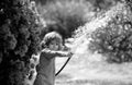 Child watering flowers and plants in garden. Kid with water hose in backyard. Kids gardening. Kids summer fun outdoor at