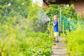 Child watering flowers and plants in garden. Little boy gardening Royalty Free Stock Photo