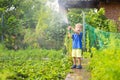 Child watering flowers and plants in garden. Little boy gardening Royalty Free Stock Photo