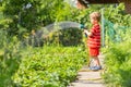 Child watering flowers and plants in garden. Little boy gardening Royalty Free Stock Photo