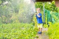 Child watering flowers and plants in garden. Little boy gardening Royalty Free Stock Photo