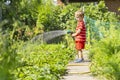 Child watering flowers and plants in garden. Little boy gardening Royalty Free Stock Photo