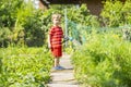 Child watering flowers and plants in garden. Little boy gardening Royalty Free Stock Photo